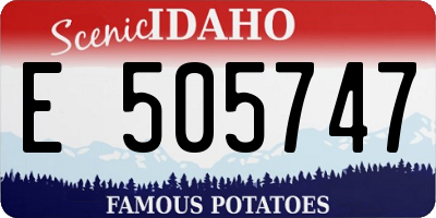 ID license plate E505747