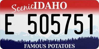 ID license plate E505751