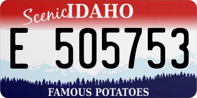 ID license plate E505753