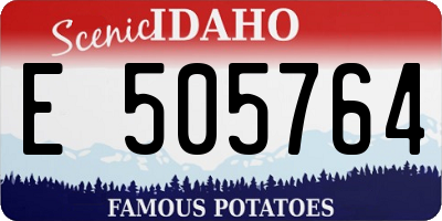 ID license plate E505764