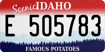 ID license plate E505783