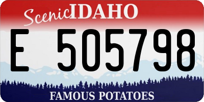 ID license plate E505798