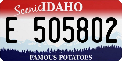 ID license plate E505802