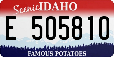 ID license plate E505810
