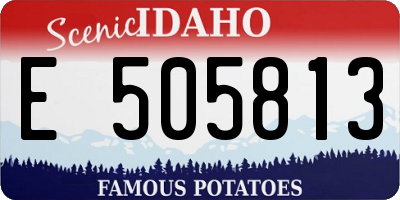 ID license plate E505813