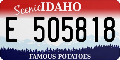 ID license plate E505818
