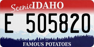 ID license plate E505820