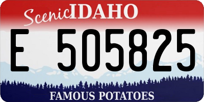 ID license plate E505825