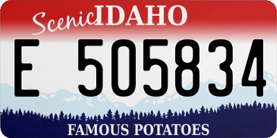 ID license plate E505834