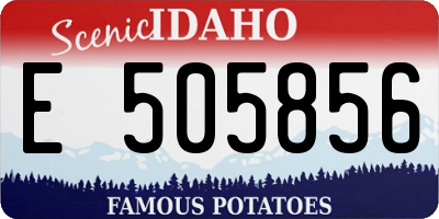 ID license plate E505856