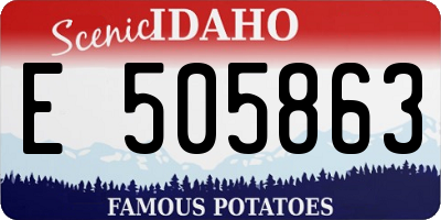 ID license plate E505863