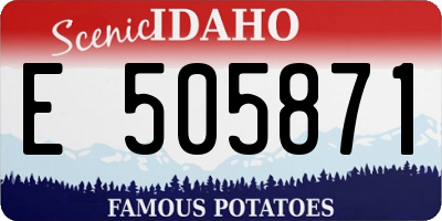ID license plate E505871