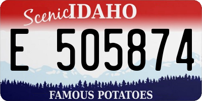 ID license plate E505874