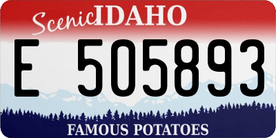 ID license plate E505893