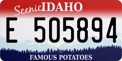 ID license plate E505894