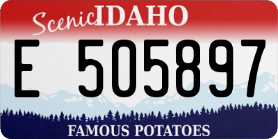 ID license plate E505897