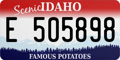 ID license plate E505898