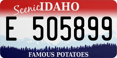 ID license plate E505899