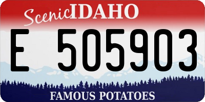 ID license plate E505903