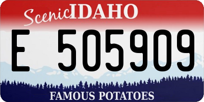 ID license plate E505909