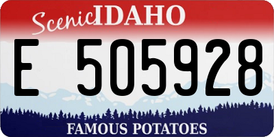 ID license plate E505928