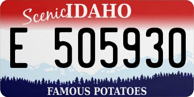 ID license plate E505930