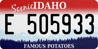 ID license plate E505933
