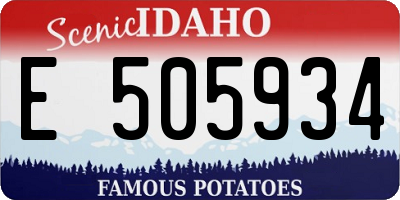 ID license plate E505934