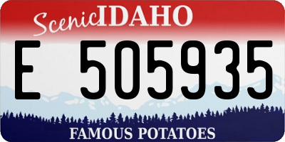 ID license plate E505935