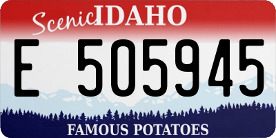 ID license plate E505945