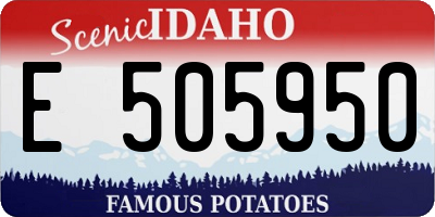 ID license plate E505950