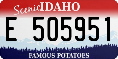 ID license plate E505951