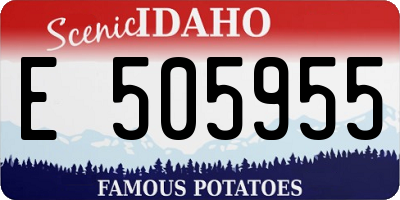ID license plate E505955