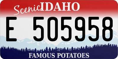 ID license plate E505958