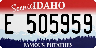 ID license plate E505959