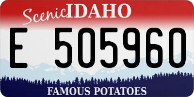 ID license plate E505960