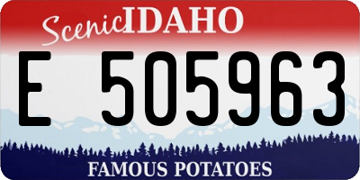 ID license plate E505963