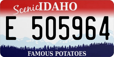 ID license plate E505964