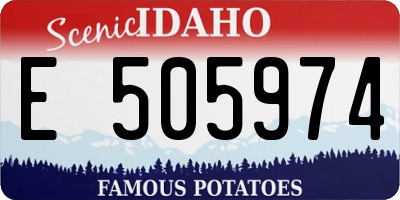 ID license plate E505974