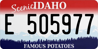 ID license plate E505977