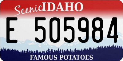 ID license plate E505984