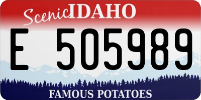 ID license plate E505989