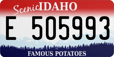 ID license plate E505993