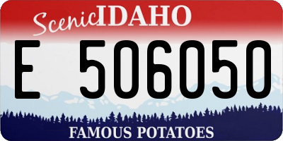 ID license plate E506050
