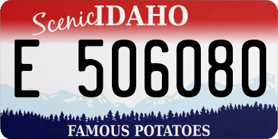 ID license plate E506080