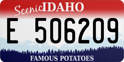 ID license plate E506209