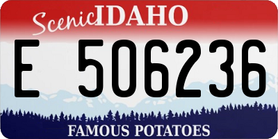 ID license plate E506236