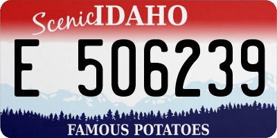 ID license plate E506239