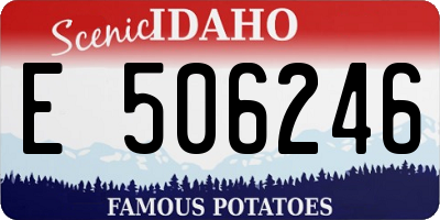 ID license plate E506246