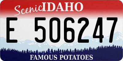 ID license plate E506247